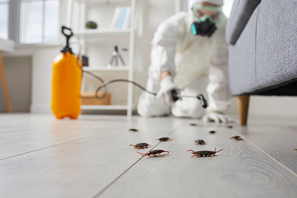 Trusted Termite Control service in Tiltonsville, OH - Nex Pest Control