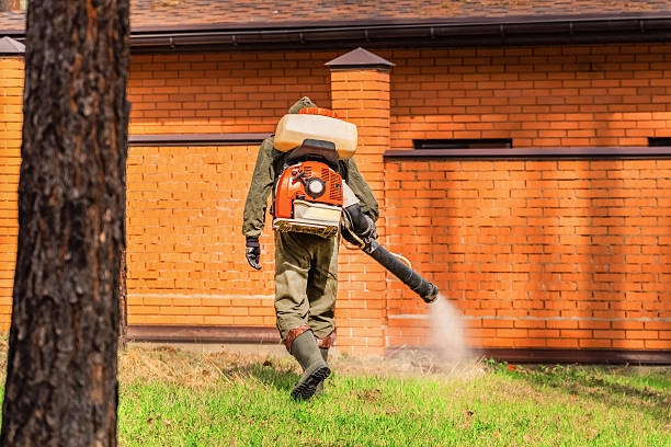 Trusted Mosquito Control service in Tiltonsville, OH - Nex Pest Control